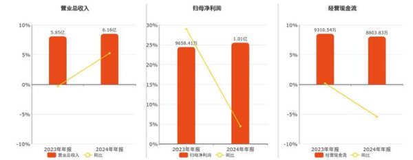瑞迪智驱(301596.SZ)：2024年年报净利润为1.01亿元