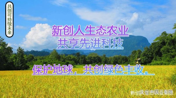 配资平台排名前十的 逐梦绿色未来之境——新创人生态农业勾勒农业发展新图景